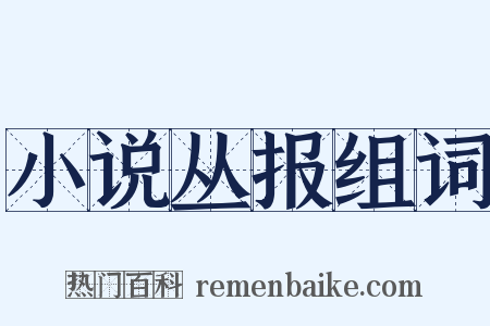 小说丛报组词是什么意思的图片